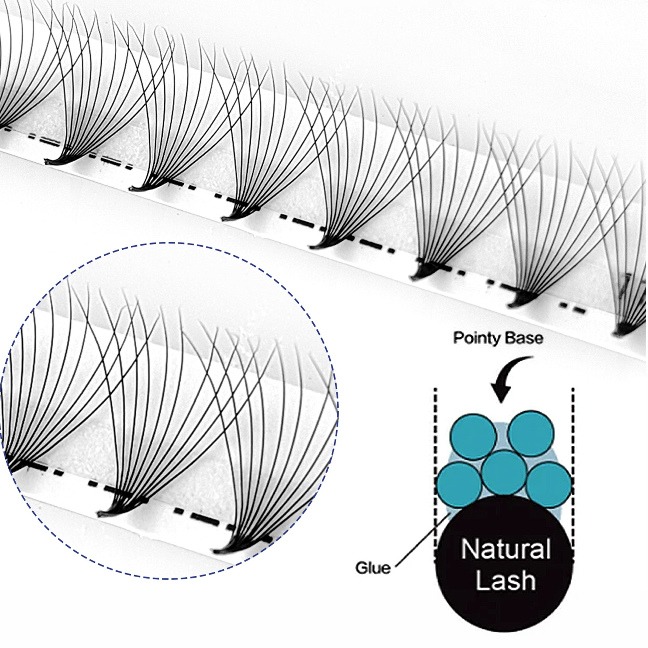 CoMango Hybrid Pointy Base Pre - đánh giá và giá Eyelash Extension Hybrid