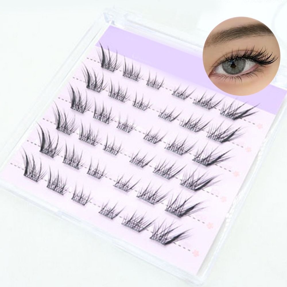 New 3D Cat Eye Self Adhesive L - đánh giá và giá Eyelash Extension Cat Eye