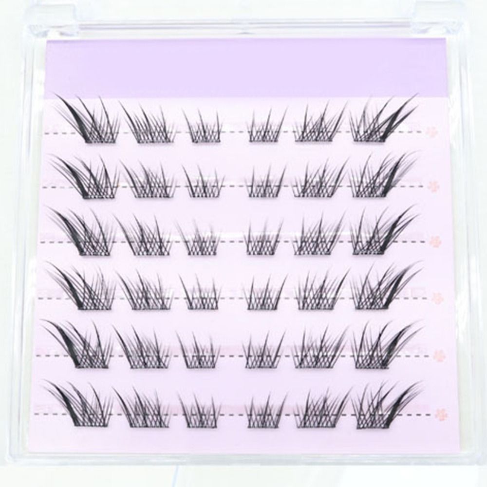 New 3D Cat Eye Self Adhesive L - đánh giá và giá Eyelash Extension Cat Eye