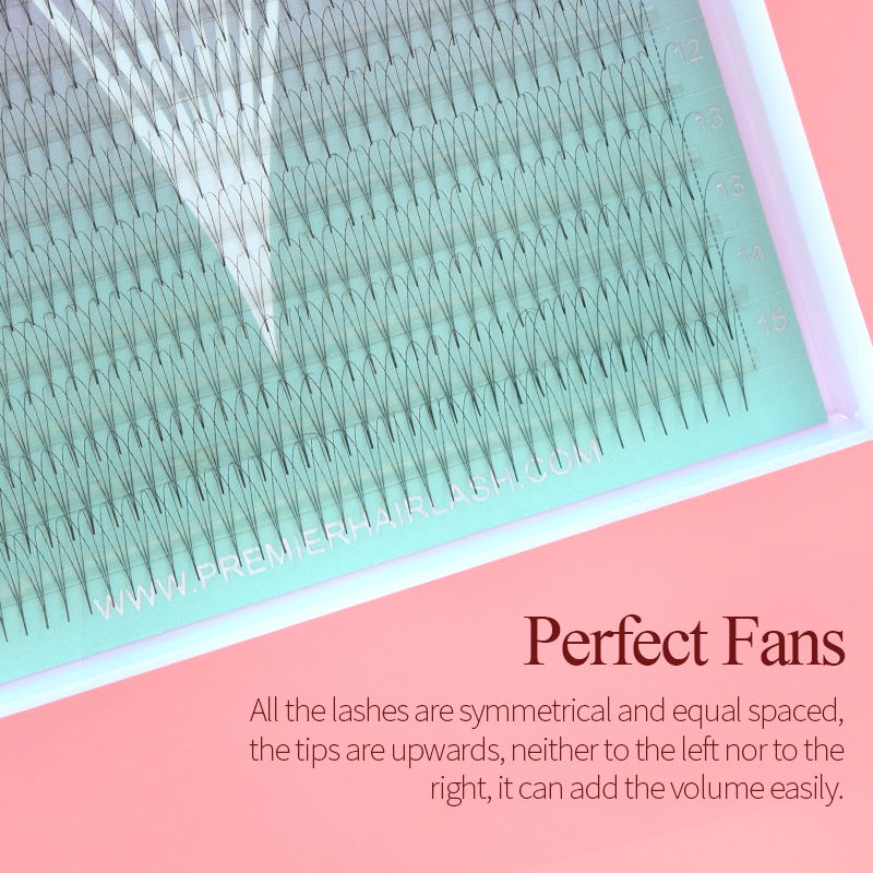 Song Lashes 3D8D10D Pointy Bas - đánh giá và giá Eyelash Extension Korean Style