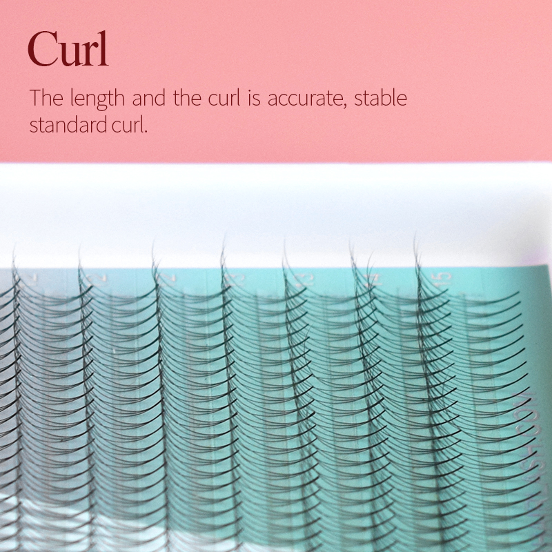Song Lashes 3D8D10D Pointy Bas - đánh giá và giá Eyelash Extension Korean Style