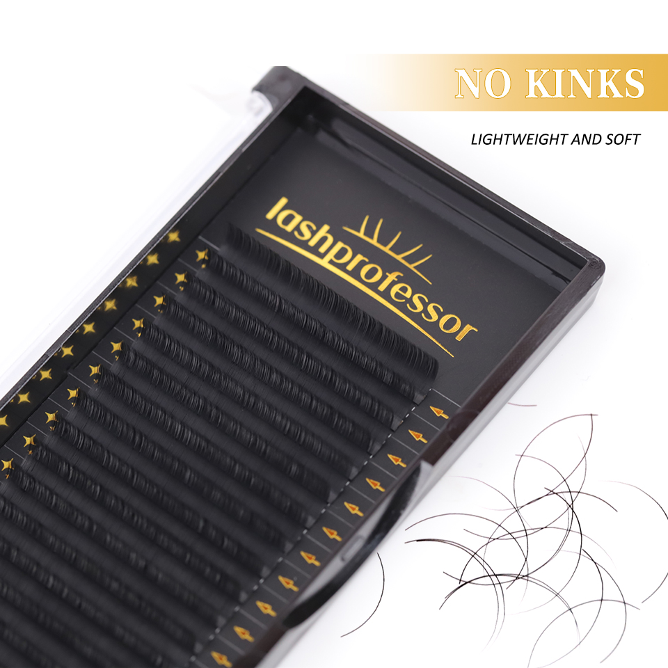Lashprofessor 10 Cases/Lot Eye - đánh giá và giá Eyelash Extension Korean Style