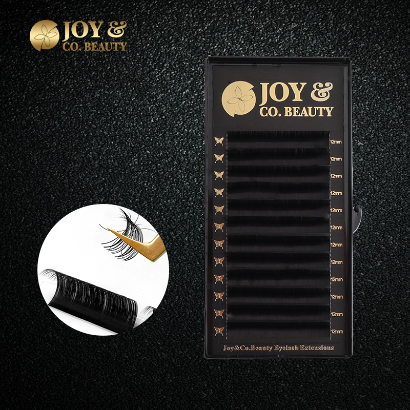 JoyCo Eyelash Extension Korean - đánh giá và giá Eyelash Extension Korean Style