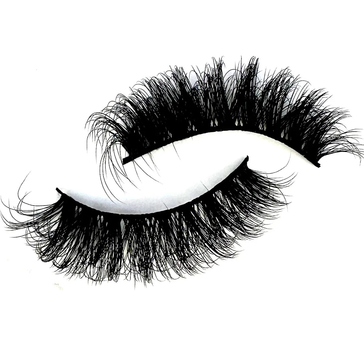 NEW 10 Pairs Cat Eye Lashes Fl - đánh giá và giá Eyelash Extension Cat Eye