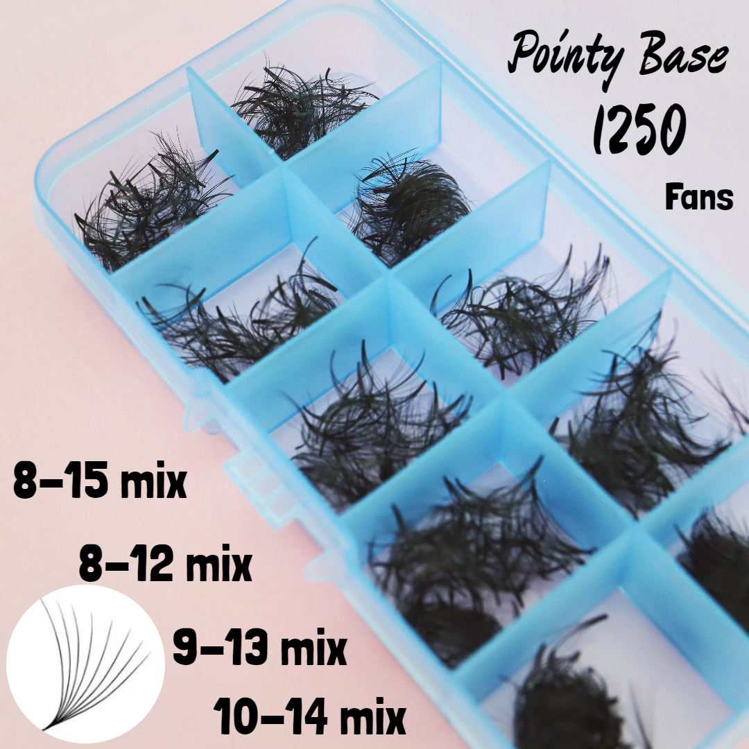 1250 Fans Pointy Base Loose La - đánh giá và giá Eyelash Extension Medium