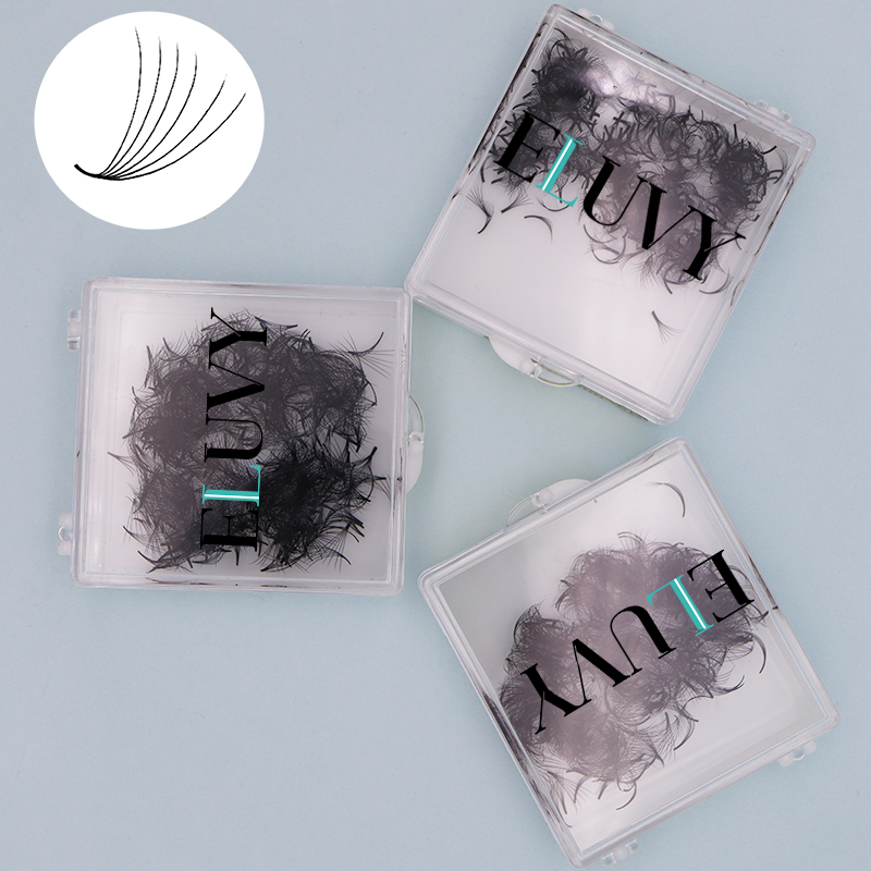 ELUVY 500 Fans Premade Medium  - đánh giá và giá Eyelash Extension Medium