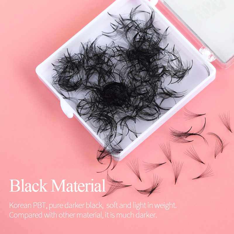 Song lashes Promade Fans 3D-10 - đánh giá và giá Eyelash Extension Korean Style