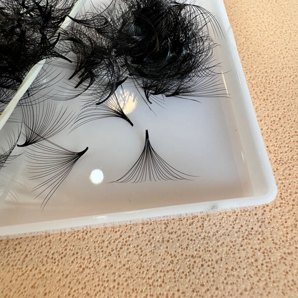 1000 Fans Loose Fan Lashes Eye - đánh giá và giá Eyelash Extension Medium